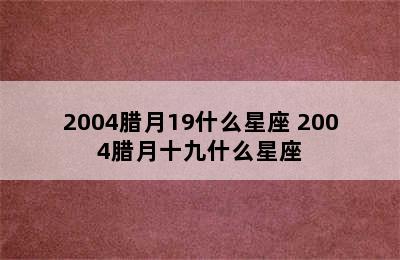 2004腊月19什么星座 2004腊月十九什么星座